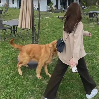 中国新相亲第三季